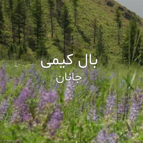 دانلود اهنگ بال کیمی از جانان