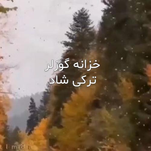 دانلود اهنگ خزانه گوزلر ترکی شاد